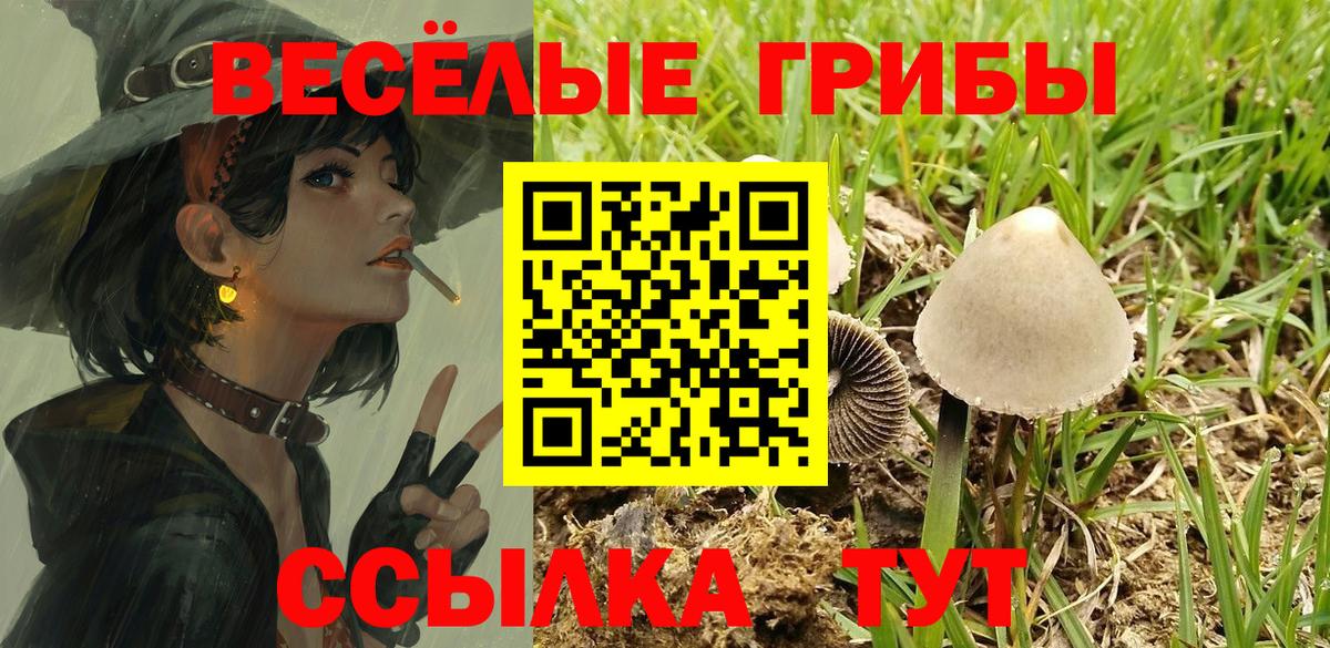 Псилоцибиновые грибы GOLDEN TEACHER Новороссийск
