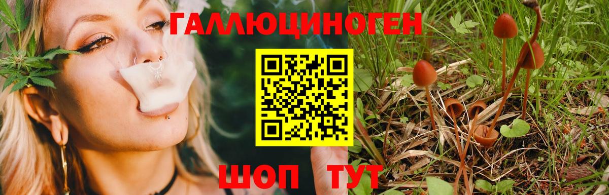 Новороссийск  Псилоцибиновые грибы мухоморы  Вход с VPN  Галлюциногенные грибы ЛСД 